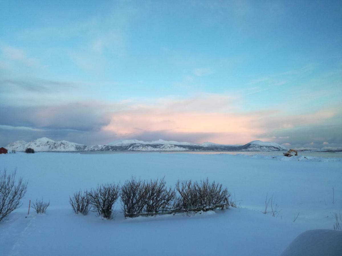 Midnattsolveien 3158,Sommarhusstrand Laukvik Lofoten Norway 외부 사진