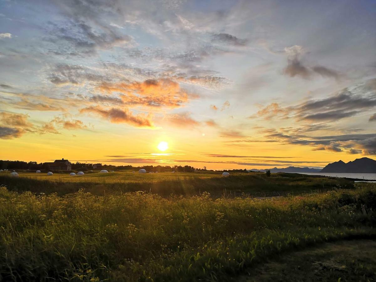 Midnattsolveien 3158,Sommarhusstrand Laukvik Lofoten Norway 외부 사진